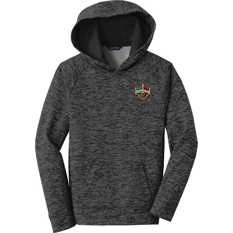 Delaware Ducks Youth PosiCharge Electric Heather Fleece Hooded Pullover