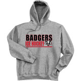 Scary Badgers Super Heavyweight Fleece Hoodie