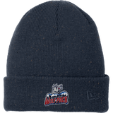 Hartford Jr. Wolfpack New Era Speckled Beanie