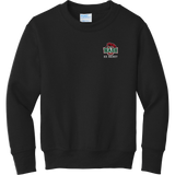 Wash U Youth Core Fleece Crewneck Sweatshirt