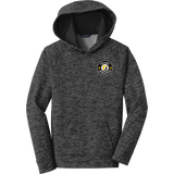 Upland Country Day School Youth PosiCharge Electric Heather Fleece Hooded Pullover